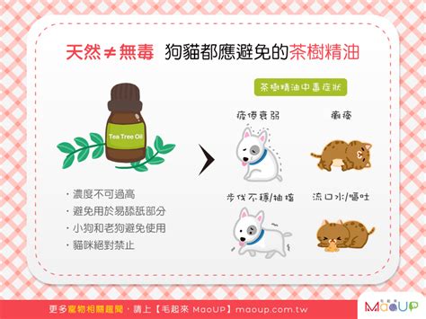 茶樹精油 寵物|【天然≠無毒】茶樹精油應避免使用在狗狗貓貓身上！。